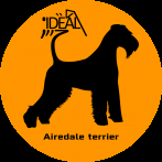 Ideal Dale Airedale terrier kennel